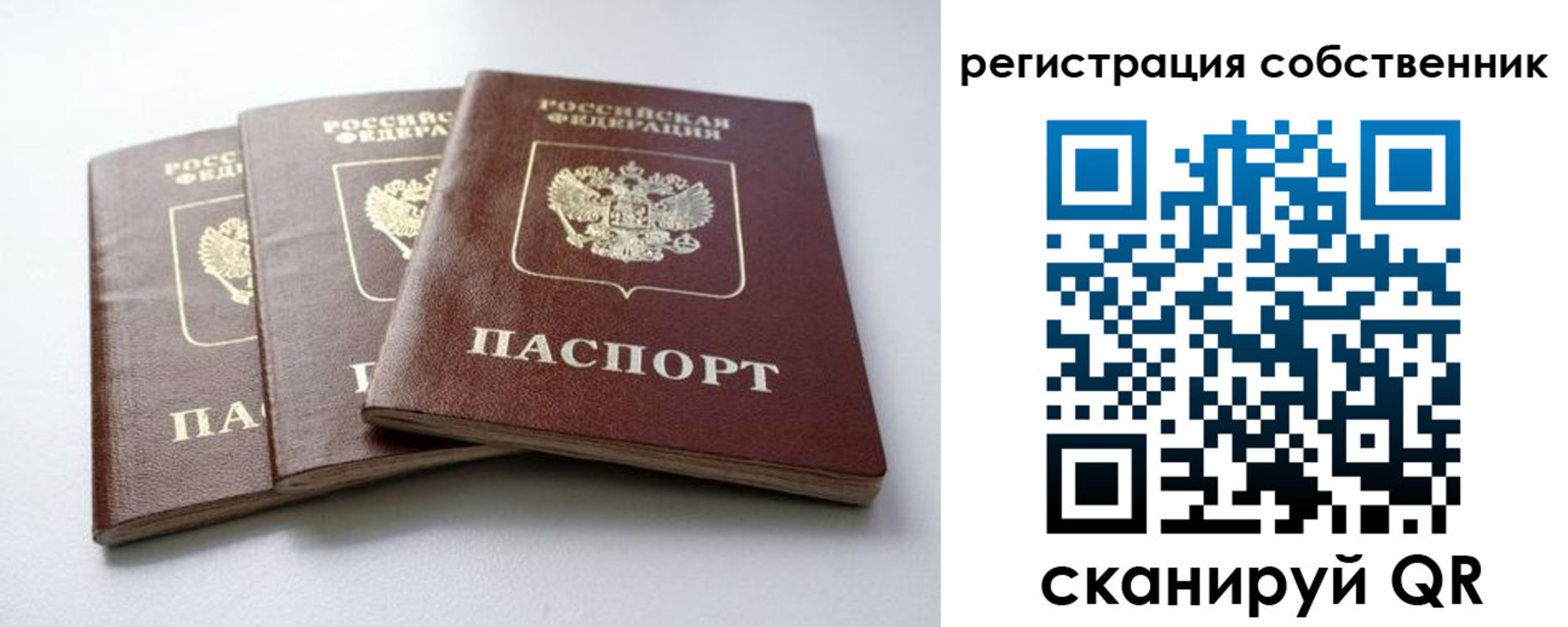 прописка для школы в Александрове