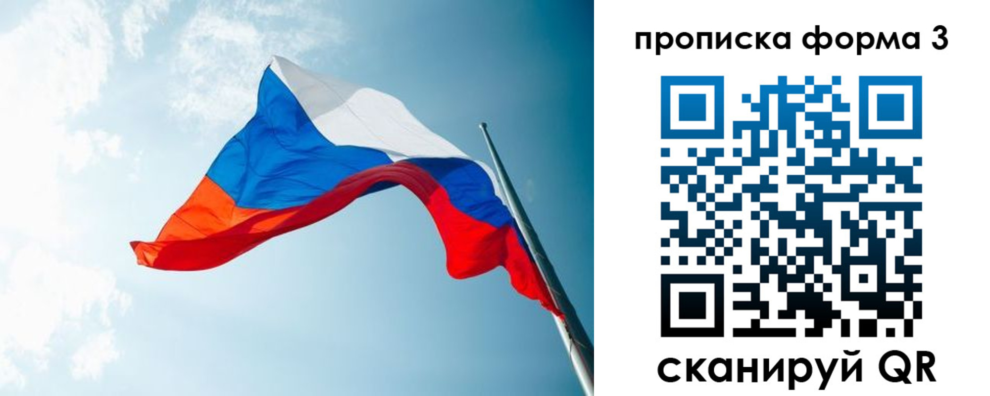временная регистрация гарантия в Александрове